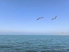 -悦海公园