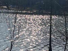 -昆山城市生态森林公园