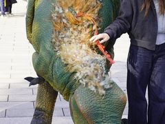 -中国西峡恐龙遗迹园