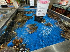 水产区-盒马鲜生(和谐广场店)