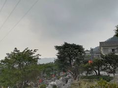 -老幺泉水鸡