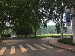 -河南省黄河迎宾馆