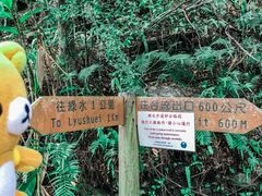 -太鲁阁公园