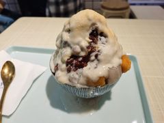 -王守财小山園