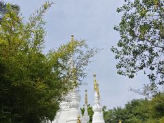 -厦门园林博览苑