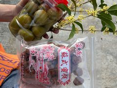 -苏州市吴中区光福窑上花果蜜饯厂