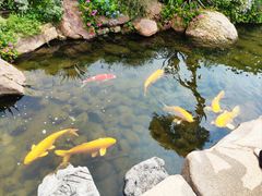 -罗红摄影艺术馆