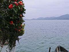 -东钱湖小普陀景区