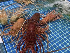 -三亚火车头万人海鲜广场