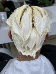 点击看大图 -GANO HAIR
