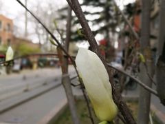 -威克特披萨汉堡