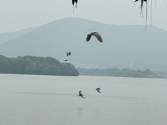 -云龙湖旅游景区