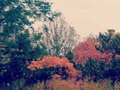 -长辛店二七公园