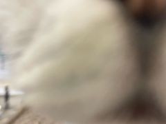 -小时光咖啡馆(北锣鼓巷店)