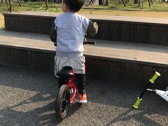 -白鹭湾湿地公园