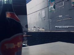 -蓉城西二道无名冒菜(西二道街店)