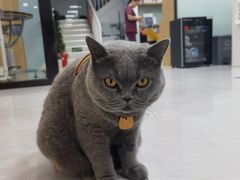 -中农大我爱我爱动物医院·核磁CT·猫病·24小时夜诊中心(石佛营店)