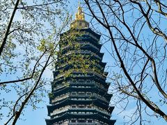 -红梅公园