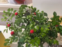 -南笙•新瘾私享日式SPA