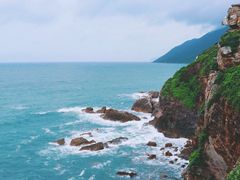 -杨梅坑