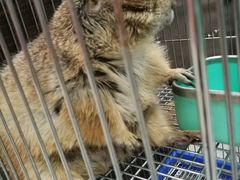 -乐宠宠物店(世纪金源店)