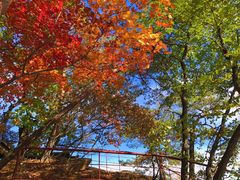 -丹东天桥沟景区