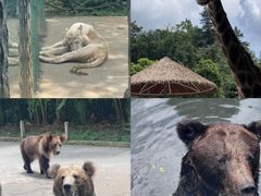 -贵州森林野生动物园
