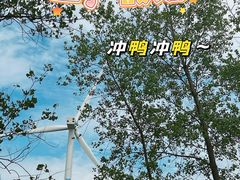 -东台黄海森林公园
