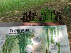 -深圳仙湖植物园