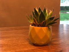 -Mesa Madre梅萨妈妈·Bintana(国贸店)