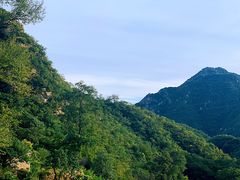 -大岭沟猕猴桃谷风景区