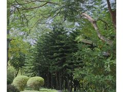 -五通灯塔公园