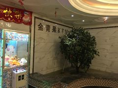 -金青果甄选KTV(劳动公园店)