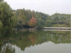 -中华孝德园