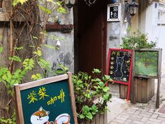 -猫色咖啡·猫咖