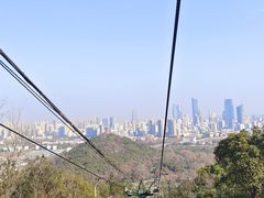 -惠山国家森林公园