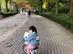 -朝阳公园游乐园