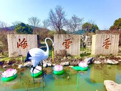 -香雪海