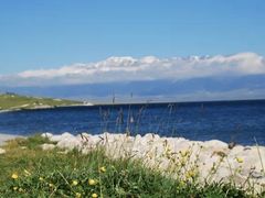 -阿达西新疆餐厅(西北大学店)