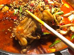 -宽口美蛙鱼头(大唐西市店)