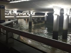 -演武大桥观景平台