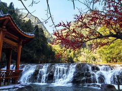 -刘伯温故里景区百丈漈