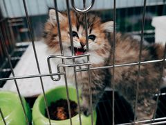 -福田农产品批发市场有限公司蔬菜交易区