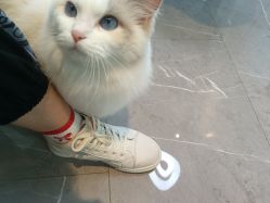 -元一肌肤管理中心