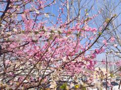 -京津佛罗伦萨小镇