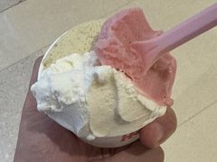 -红楼HONGLOU Gelato(淮海中路店)