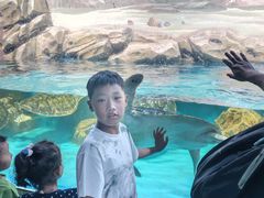 -云龙湖旅游景区