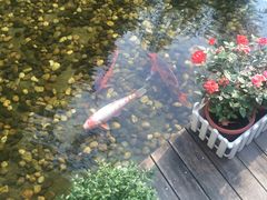 -幽篁里古琴制作中心