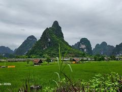 -明仕田园
