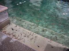 -嘉兴清池酒店温泉